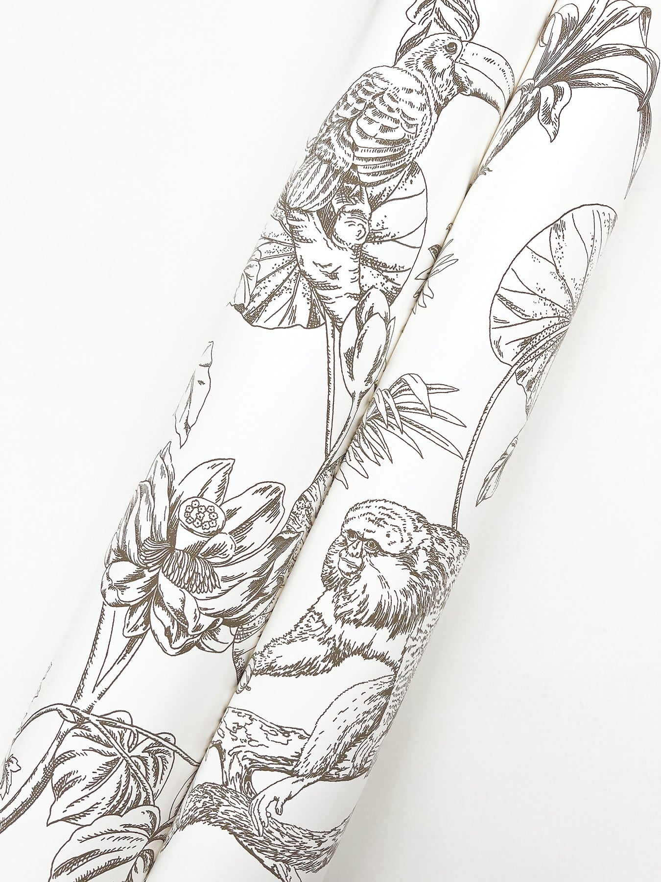 Tropical Sketch Toile Wallpaper Wallpaper York Wallcoverings   