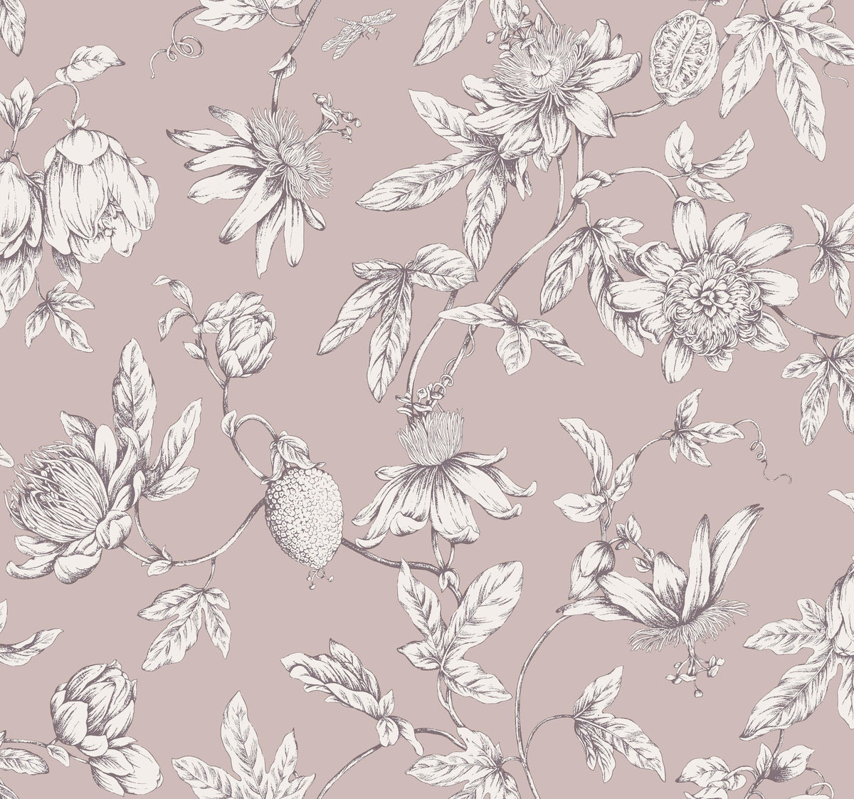 Passion Flower Toile Wallpaper Wallpaper York Wallcoverings Double Roll Orchid 