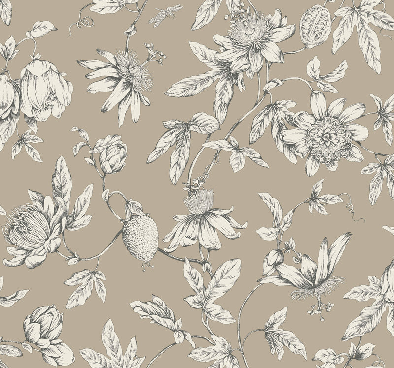 Passion Flower Toile Wallpaper Wallpaper York Wallcoverings Double Roll Linen 