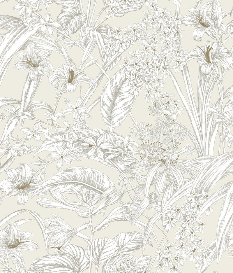 Orchid Conservatory Toile Wallpaper Wallpaper York Wallcoverings Double Roll Beige/Taupe 