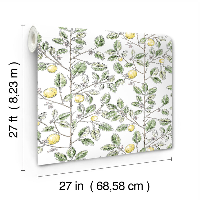 Limoncello Toile Wallpaper Wallpaper York Wallcoverings   