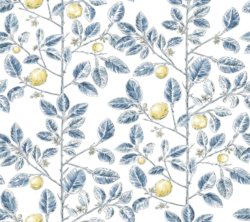 Limoncello Toile Wallpaper Wallpaper York Wallcoverings Double Roll Blue 