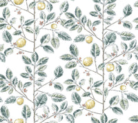 Limoncello Toile Wallpaper Wallpaper York Wallcoverings Double Roll Forest 