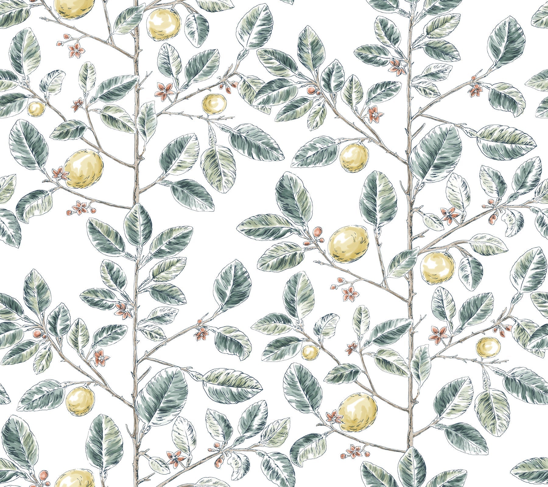 Limoncello Toile Wallpaper Wallpaper York Wallcoverings Double Roll Forest 