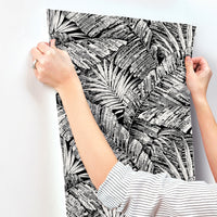 Palm Cove Toile Wallpaper Wallpaper York Wallcoverings   