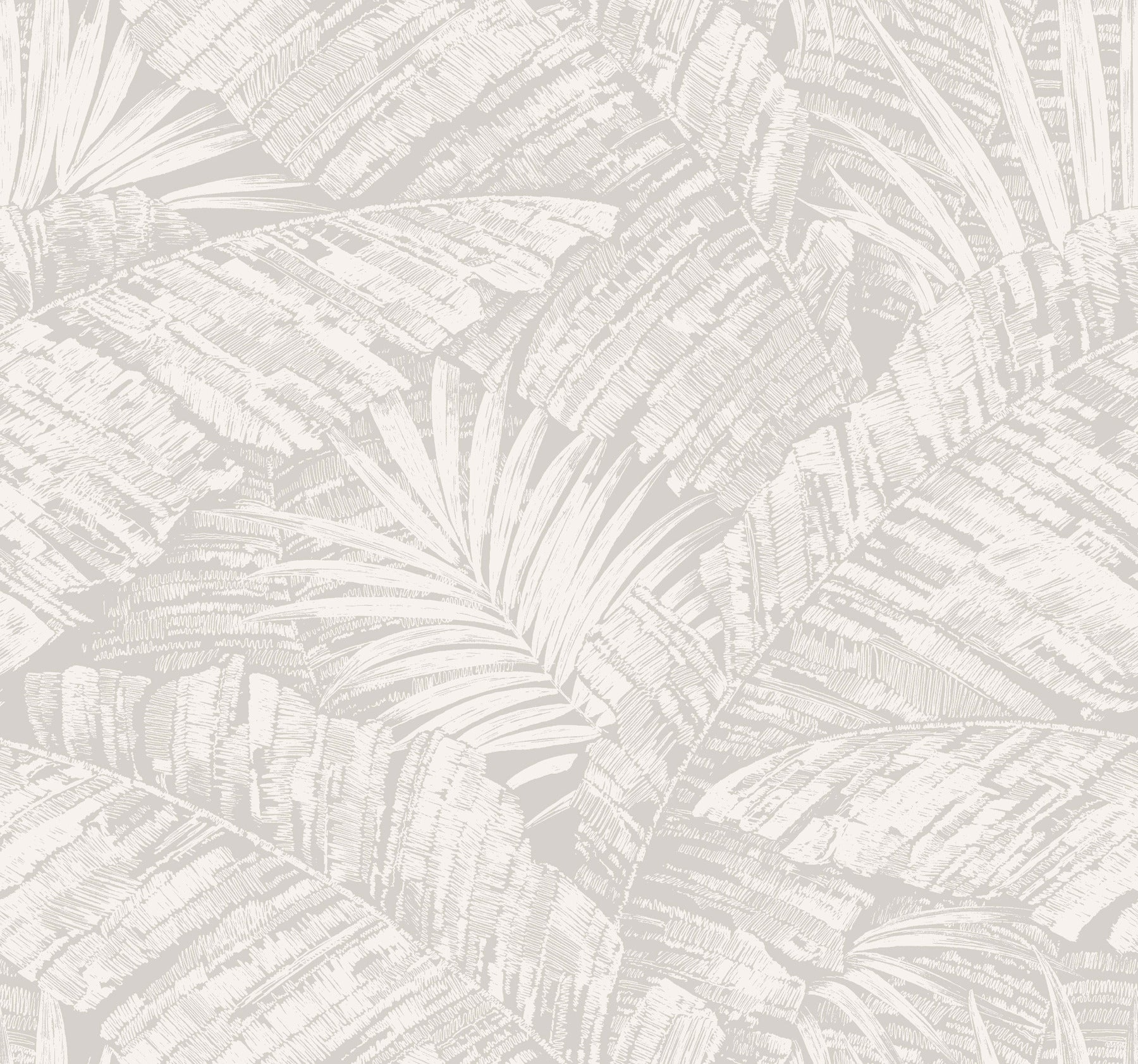 Palm Cove Toile Wallpaper Wallpaper York Wallcoverings Double Roll White/Grey 
