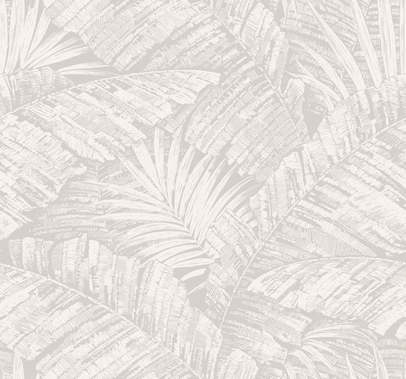 Palm Cove Toile Wallpaper Wallpaper York Wallcoverings Double Roll White/Grey 