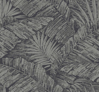 Palm Cove Toile Wallpaper Wallpaper York Wallcoverings Double Roll Silver/Black 