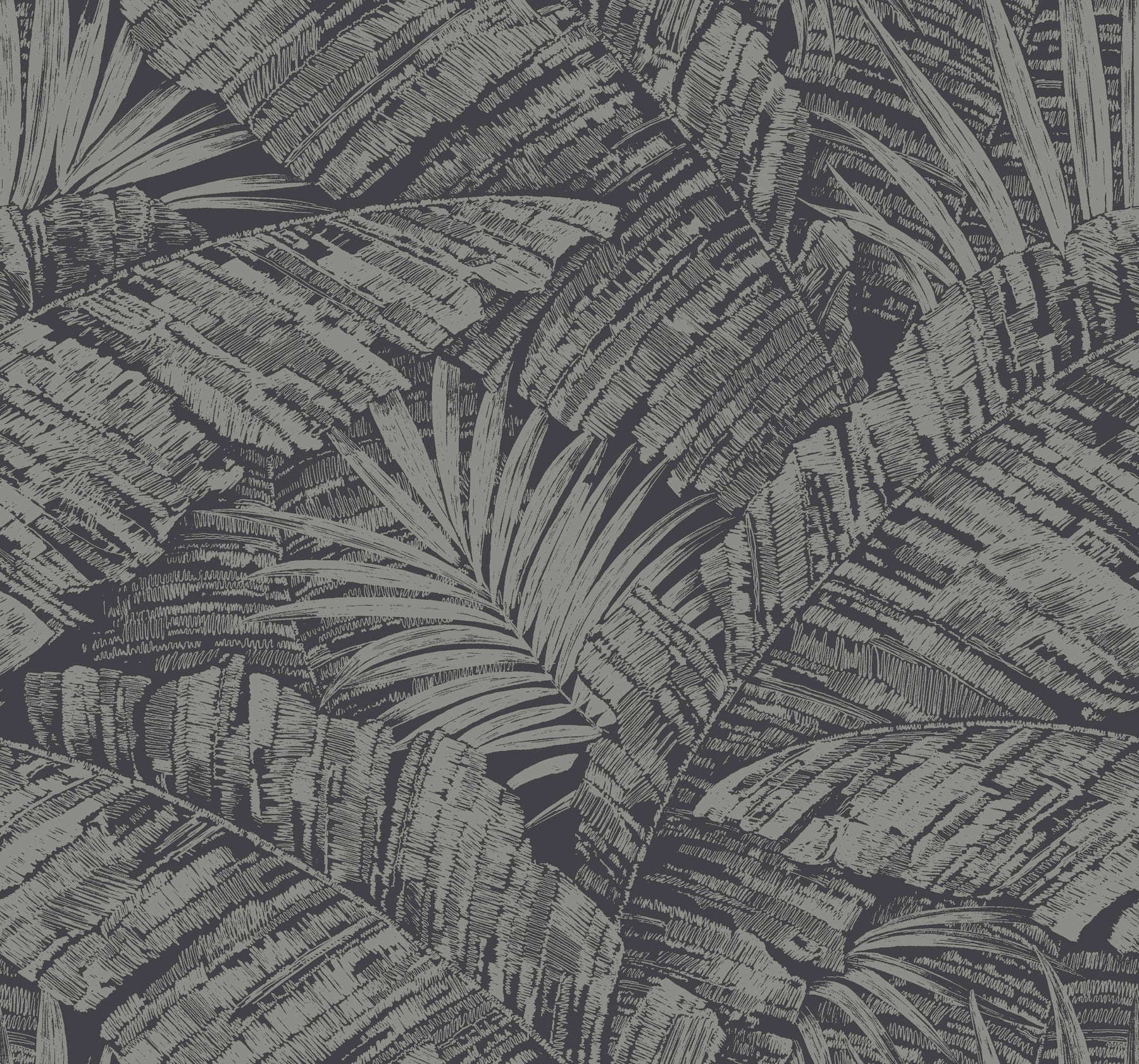 Palm Cove Toile Wallpaper Wallpaper York Wallcoverings Double Roll Silver/Black 