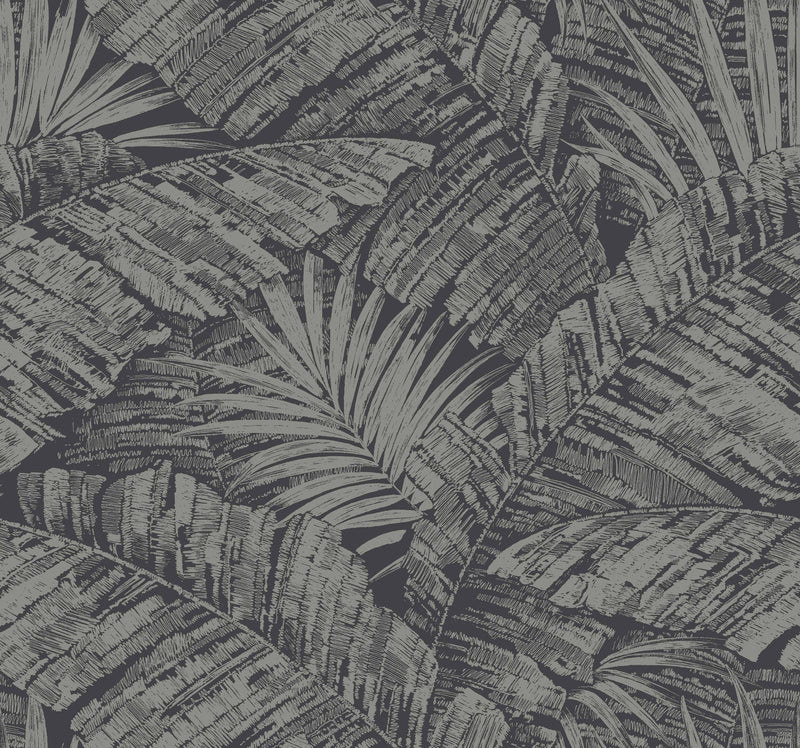 Palm Cove Toile Wallpaper Wallpaper York Wallcoverings Double Roll Silver/Black 