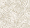 Palm Cove Toile Wallpaper Wallpaper York Wallcoverings Double Roll White/Taupe 