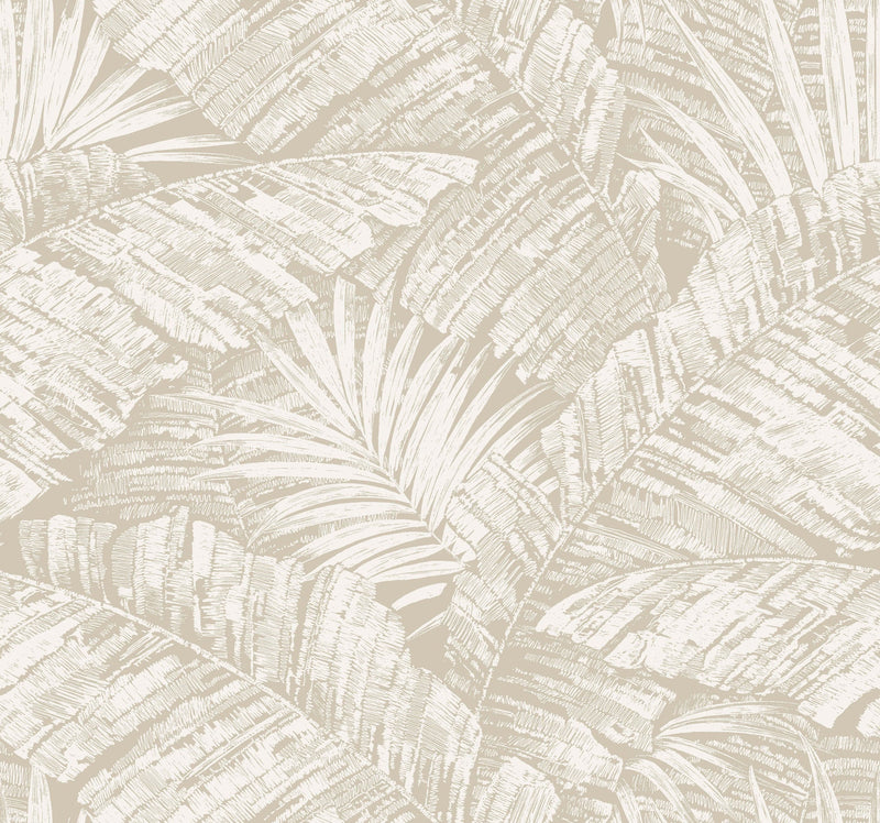 Palm Cove Toile Wallpaper Wallpaper York Wallcoverings Double Roll White/Taupe 