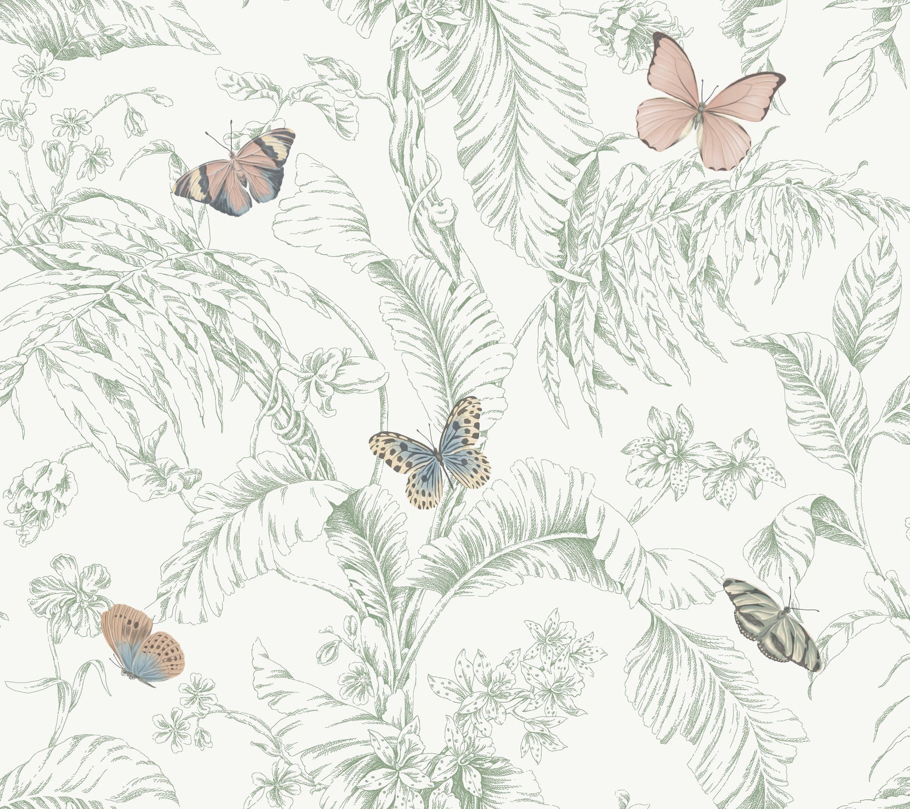 Papillon Wallpaper Wallpaper York Wallcoverings Double Roll Blush 