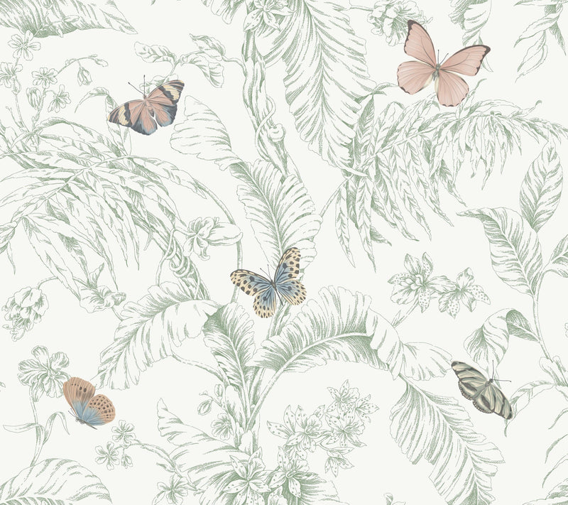 Papillon Wallpaper Wallpaper York Wallcoverings Double Roll Blush 
