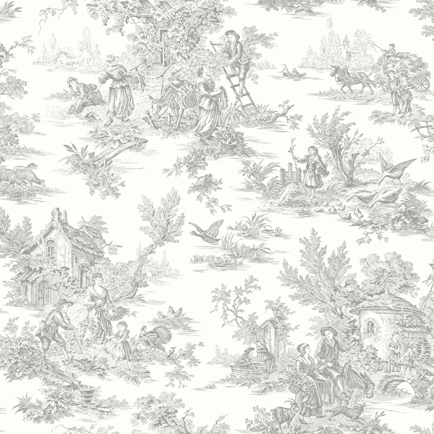 Campagne Toile Wallpaper Wallpaper York Wallcoverings Double Roll Grey 
