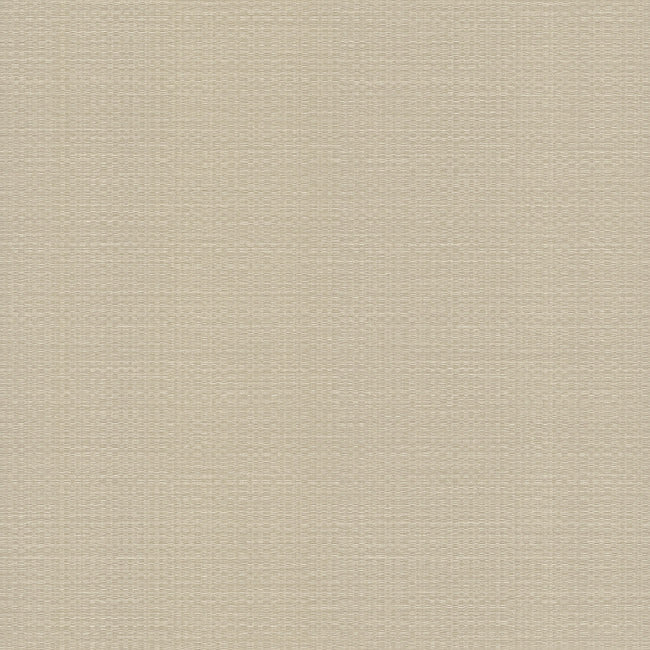 Bali Basketweave Wallpaper Wallpaper York Wallcoverings Double Roll Beige 