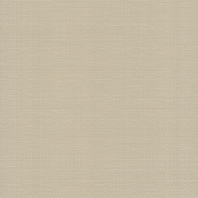 Bali Basketweave Wallpaper Wallpaper York Wallcoverings Double Roll Beige 