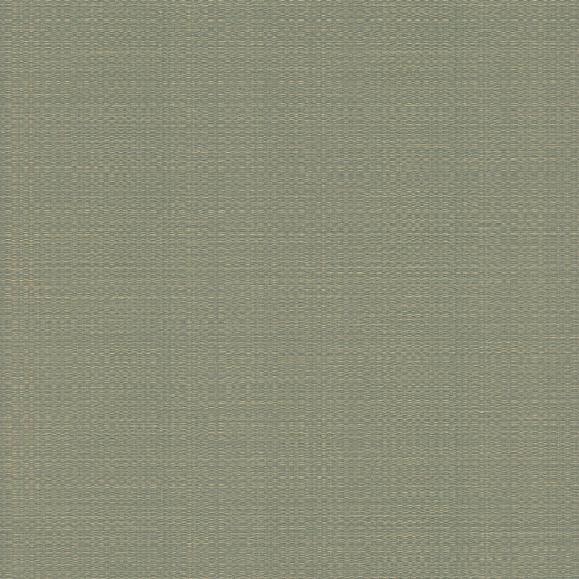 Bali Basketweave Wallpaper Wallpaper York Wallcoverings Double Roll Sage 
