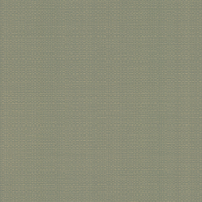 Bali Basketweave Wallpaper Wallpaper York Wallcoverings Double Roll Sage 