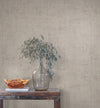 Alma Wallpaper York Wallcoverings   