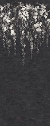 Sakura Blooms Wall Mural Wall Mural Ronald Redding Roll Black