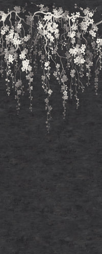 Sakura Blooms Wall Mural Wall Mural Ronald Redding Roll Black