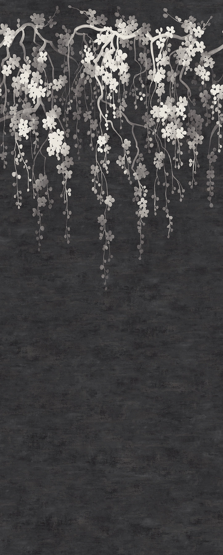 Sakura Blooms Wall Mural Wall Mural Ronald Redding Roll Black