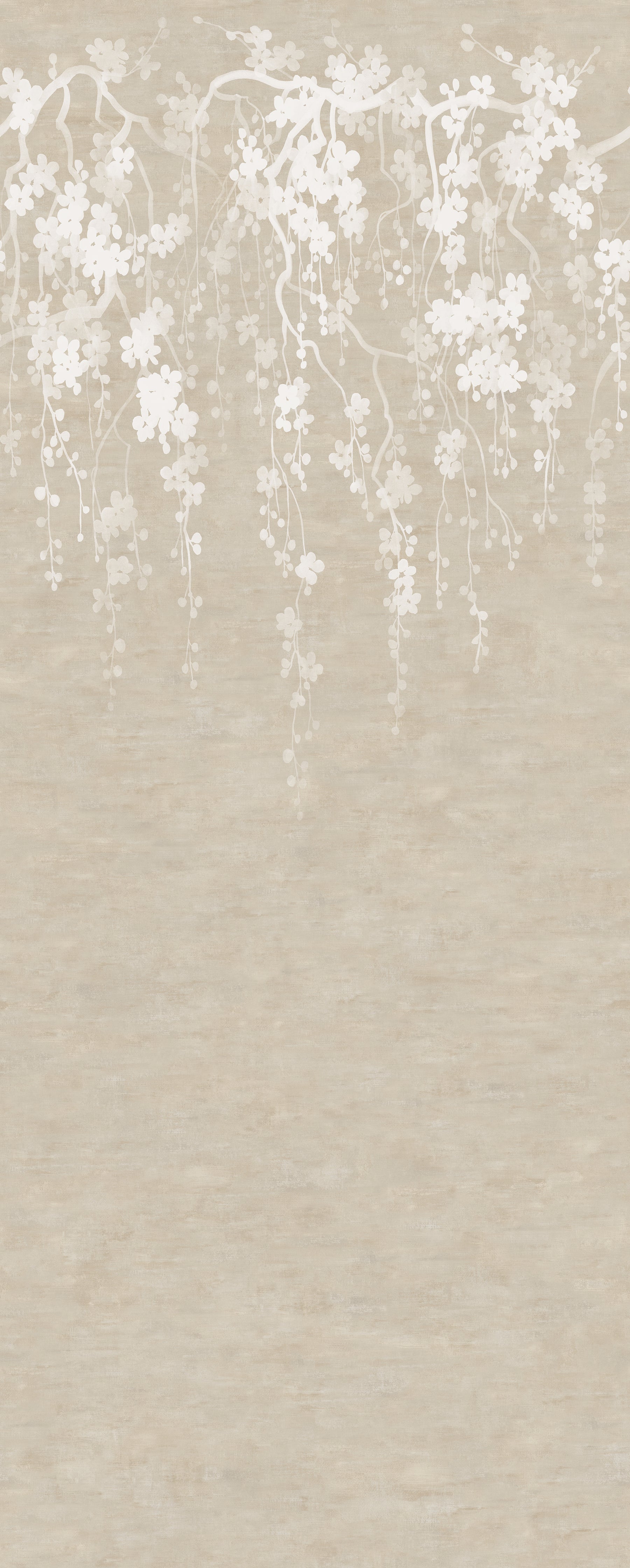 Sakura Blooms Wall Mural Wall Mural Ronald Redding Roll Neutral