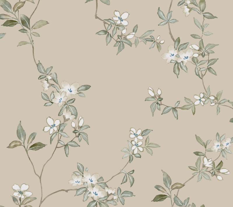 April Blossom Wallpaper Wallpaper Ronald Redding Roll Taupe
