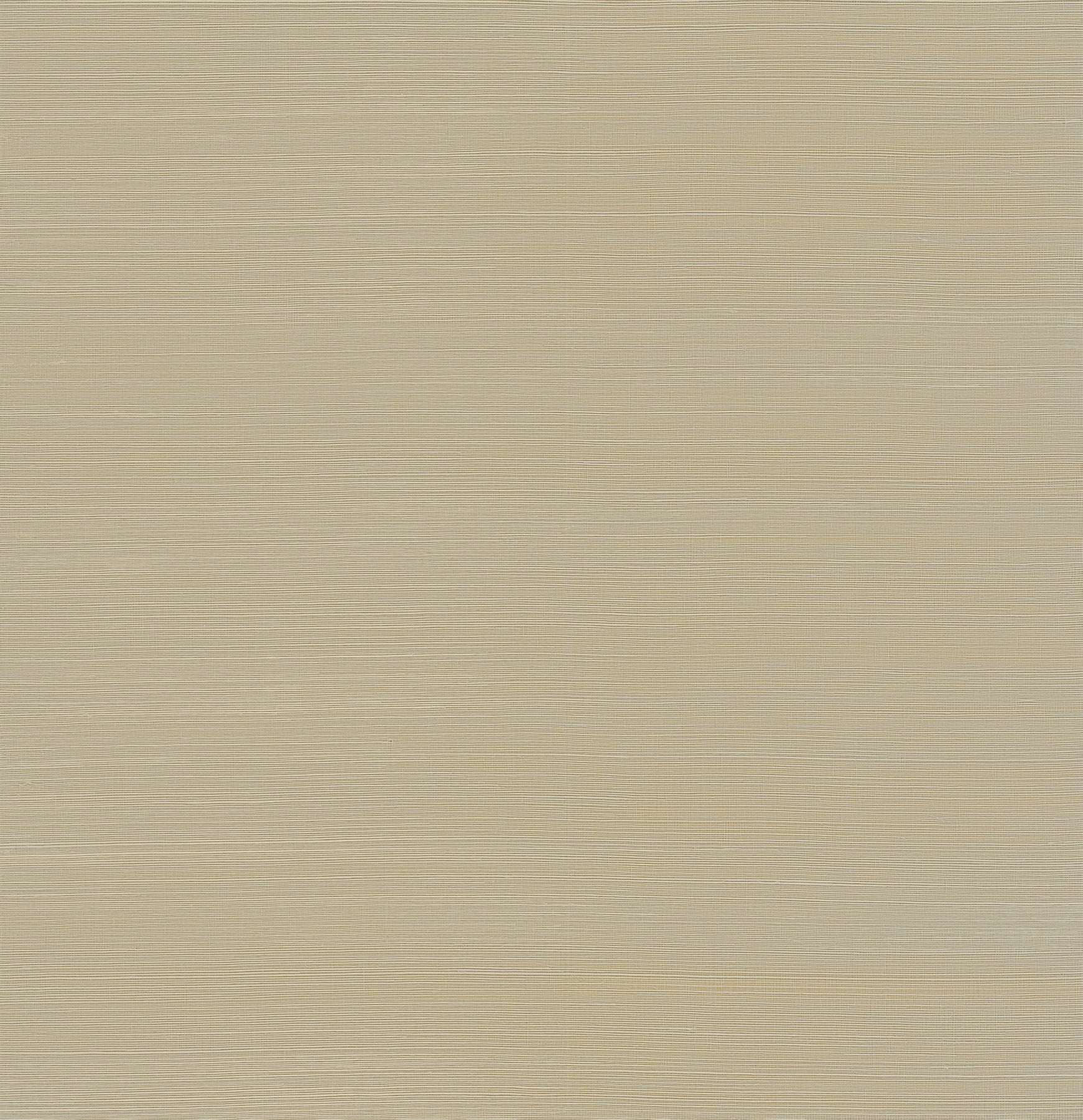 Sakiya Neutral Grasscloth Wallpaper Wallpaper A-Street Prints Double Roll Neutral 