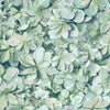 Hydrangea Peel and Stick Wallpaper Peel and Stick Wallpaper RoomMates Roll  