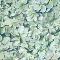 Hydrangea Peel and Stick Wallpaper Peel and Stick Wallpaper RoomMates Roll  