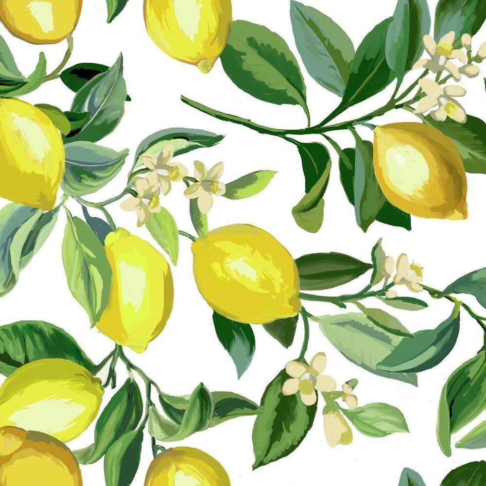 Lemon Zest Peel and Stick Wallpaper Peel and Stick Wallpaper RoomMates Roll White 
