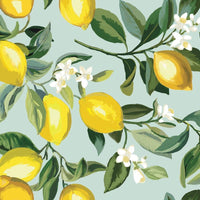 Lemon Zest Peel and Stick Wallpaper Peel and Stick Wallpaper RoomMates Roll Blue 