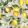Lemon Zest Peel and Stick Wallpaper Peel and Stick Wallpaper RoomMates Roll Beige 