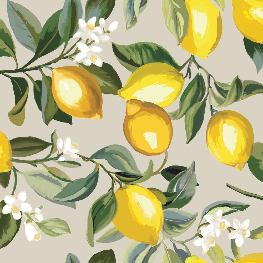 Lemon Zest Peel and Stick Wallpaper Peel and Stick Wallpaper RoomMates Roll Beige 