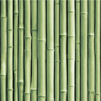 Bamboo Peel and Stick Wallpaper Peel and Stick Wallpaper RoomMates Roll Green 