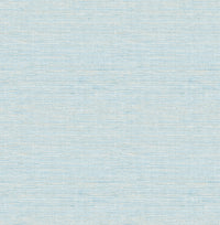 Agave Light Blue Faux Grasscloth Wallpaper Wallpaper A-Street Prints Double Roll Sky Blue 