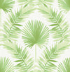 Calla Green Painted Palm Wallpaper Wallpaper A-Street Prints Double Roll Green 