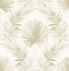 Calla Green Painted Palm Wallpaper Wallpaper A-Street Prints Double Roll Taupe 