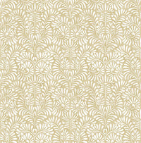 Elma Honey Fiddlehead Wallpaper Wallpaper A-Street Prints Double Roll Honey 