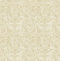 Elma Honey Fiddlehead Wallpaper Wallpaper A-Street Prints Double Roll Honey 