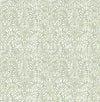 Elma Honey Fiddlehead Wallpaper Wallpaper A-Street Prints Double Roll Sage 