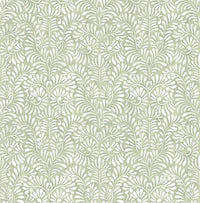 Elma Honey Fiddlehead Wallpaper Wallpaper A-Street Prints Double Roll Sage 