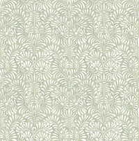 Elma Honey Fiddlehead Wallpaper Wallpaper A-Street Prints Double Roll Sage 