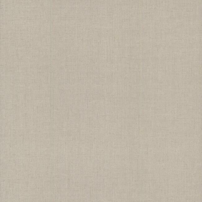 Diplomacy Weave Wallpaper Wallpaper Ronald Redding Designs Double Roll Champagne 