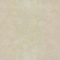 Relic Wallpaper Wallpaper York Double Roll Beige 