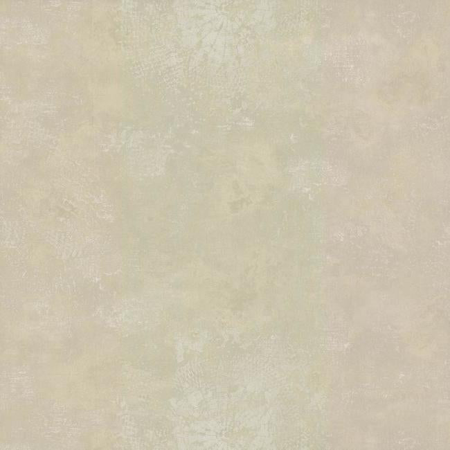 Relic Wallpaper Wallpaper York Double Roll Beige 