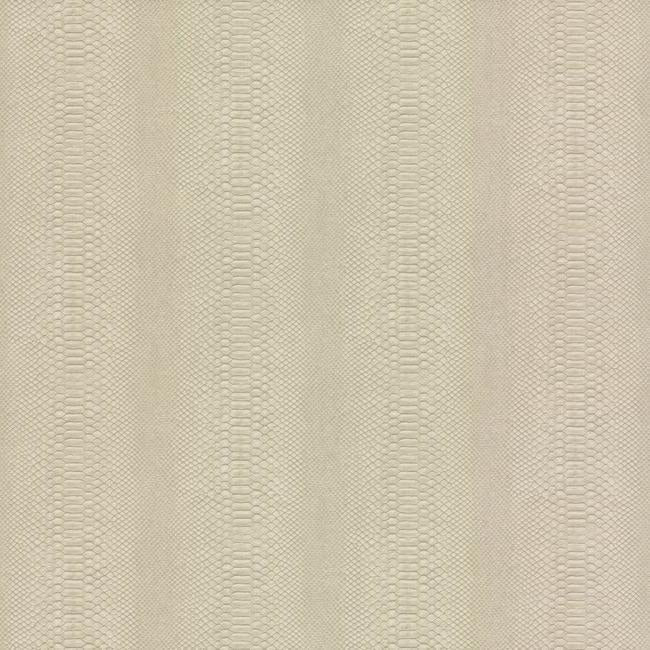 Cobra Wallpaper Wallpaper York Double Roll Beige 