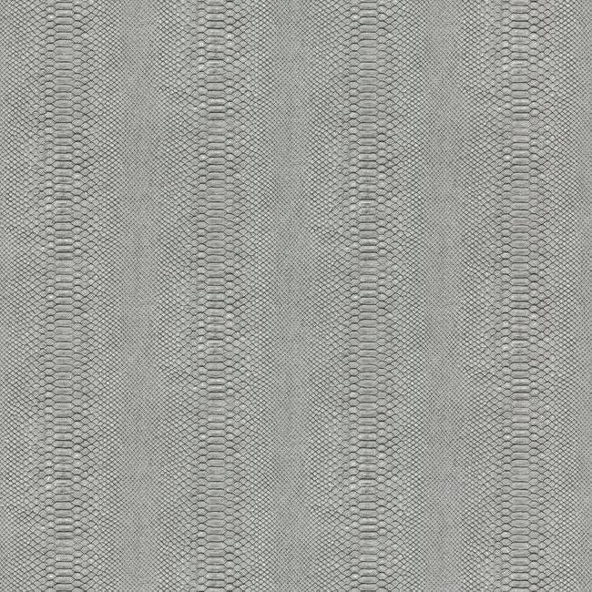 Cobra Wallpaper Wallpaper York Double Roll Charcoal/Black 